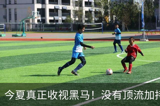 今夏真正收视黑马！没有顶流加持，央视家庭剧开播即全网第一